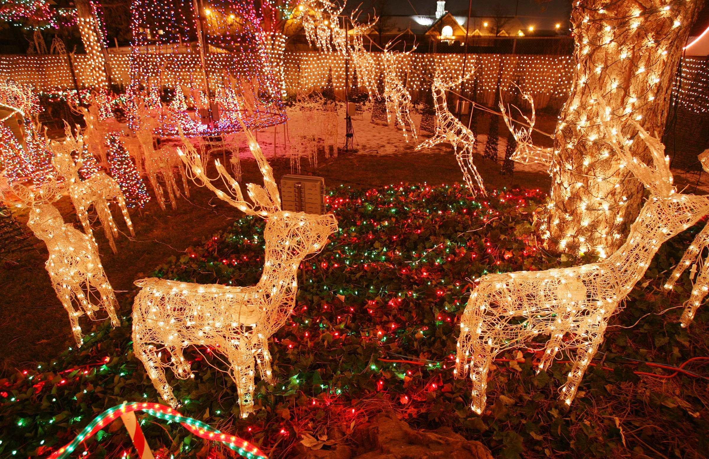 best led christmas lights